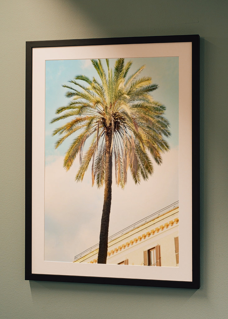 Bella Roma - Palm in Rome 1