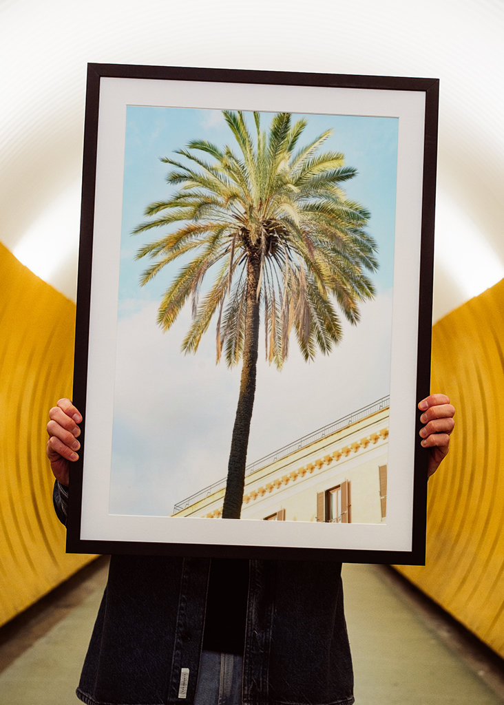 Bella Roma - Palm in Rome 1