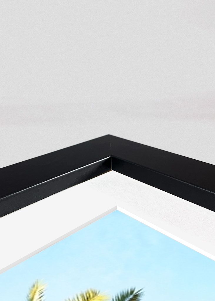 Bella Roma - Palm in Rome 1