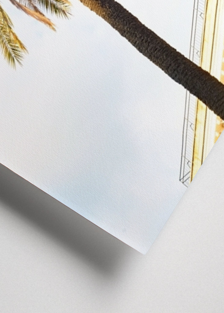 Bella Roma - Palm in Rome 1