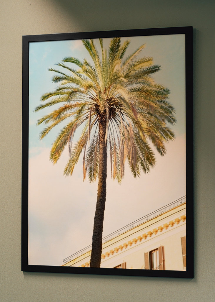 Bella Roma - Palm in Rome 1