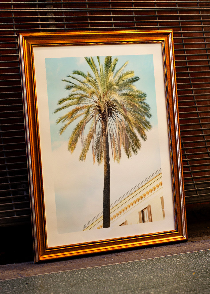 Bella Roma - Palm in Rome 1