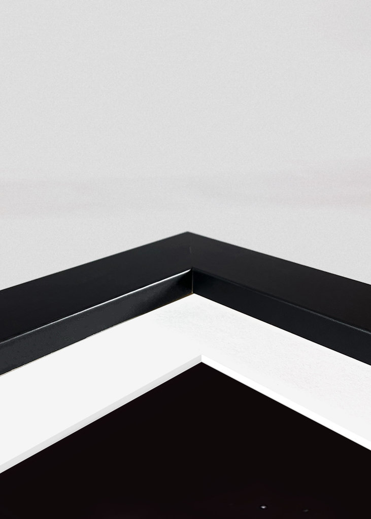 Link of Zelda - Neon