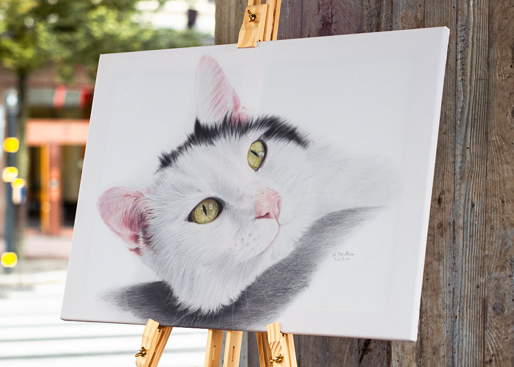 Sort og hvid kat, farveblyant