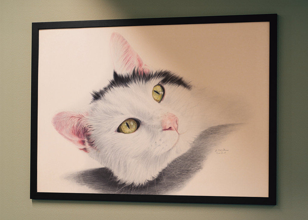 Sort og hvid kat, farveblyant