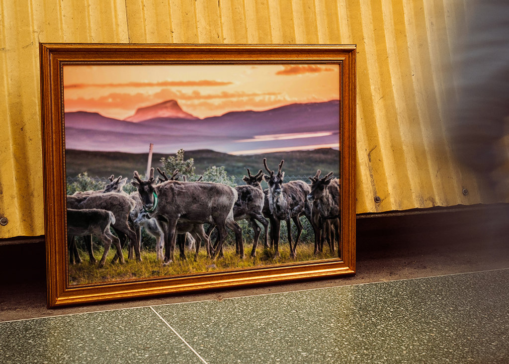 In the hearth of Sápmi