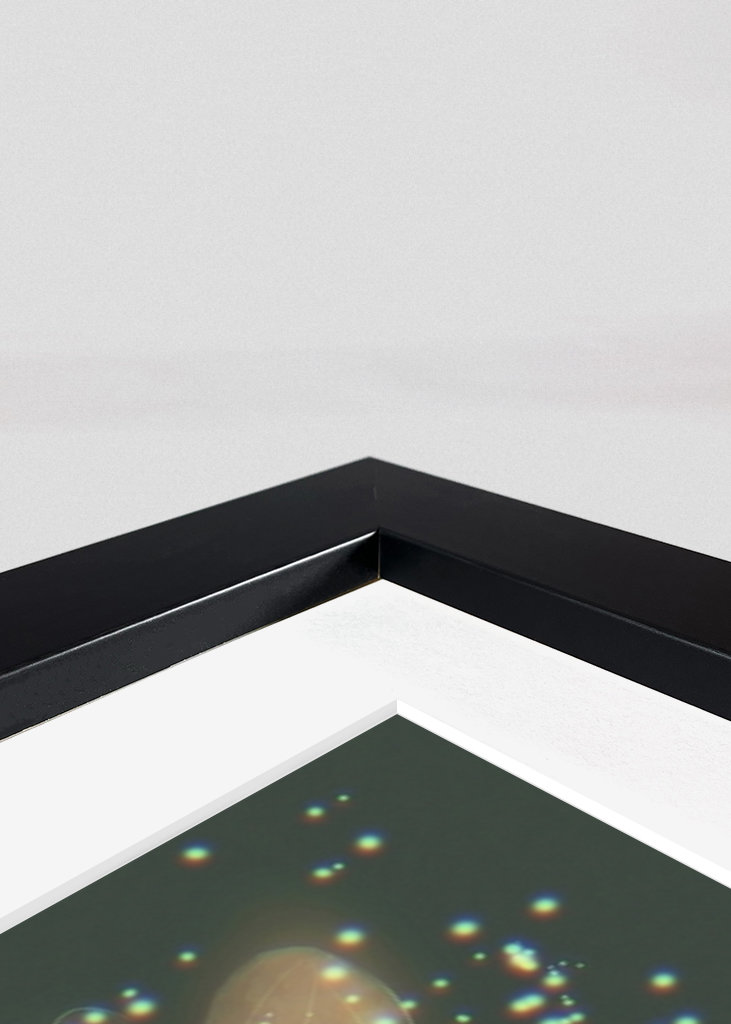 La ninfa e le lucciole