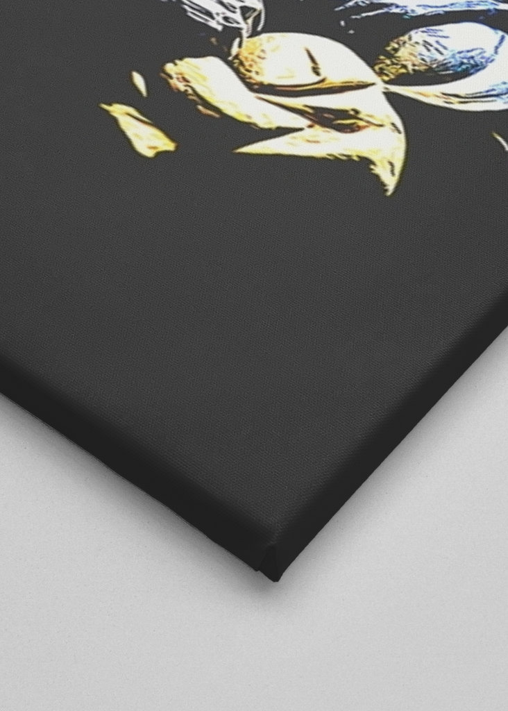 Podravka drakbollová