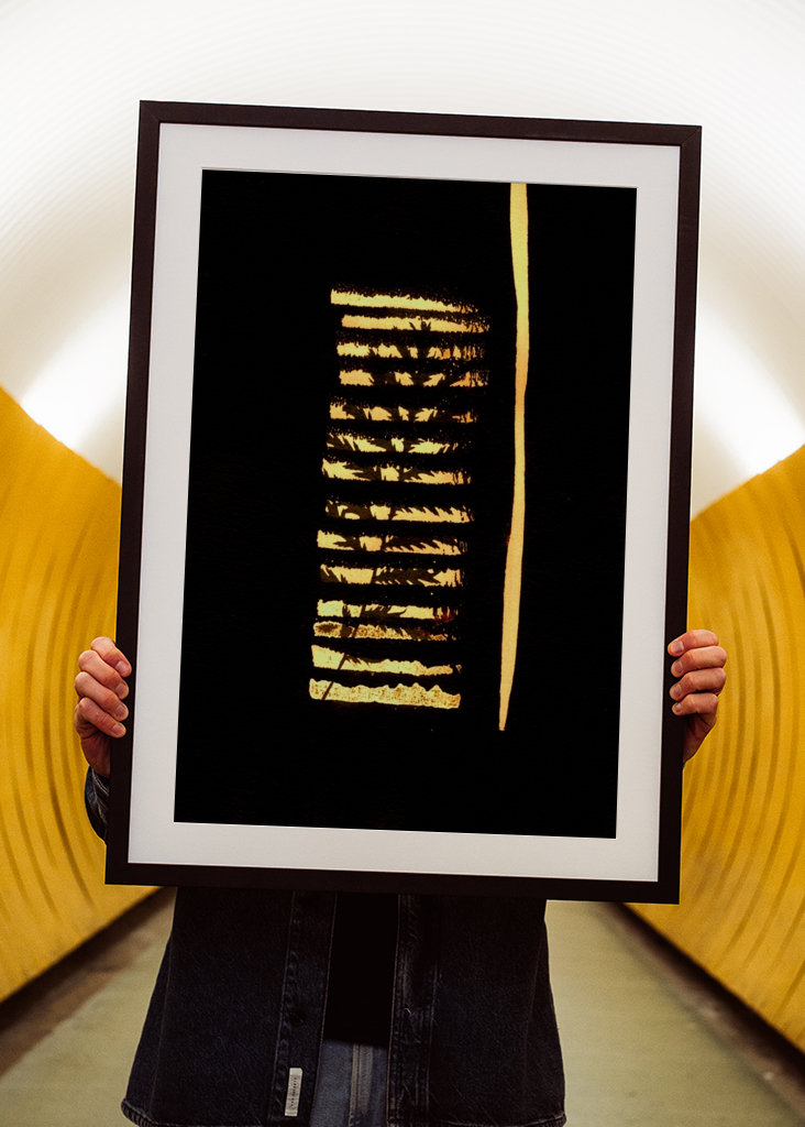 Žlté letné čiary