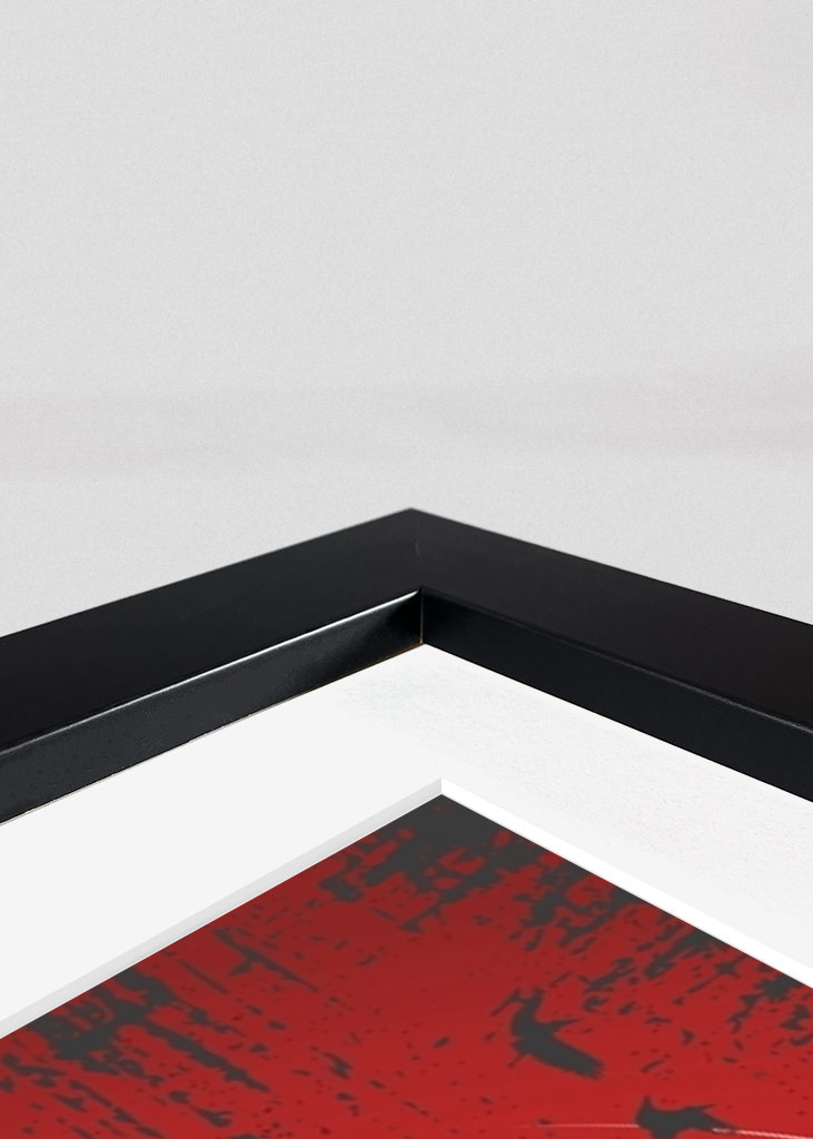 Samurai angreb fra rooftop