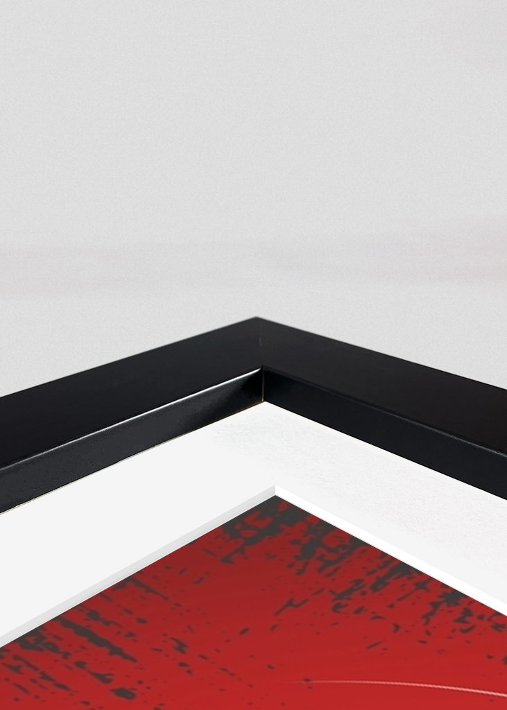 Attaque de samouraïs japonais