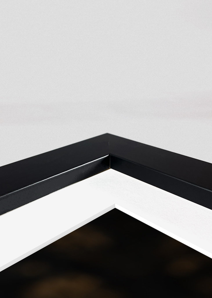 Kukkiva yucca-palmu auringonlaskun aikaan