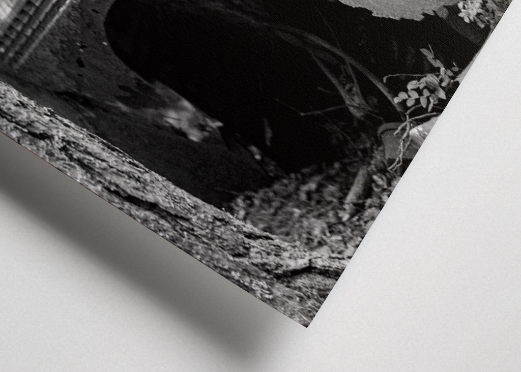 Egy régi roncsautó