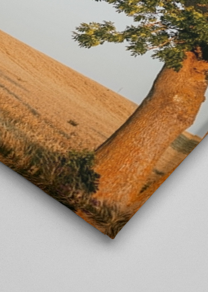 Sommeraften på Öland