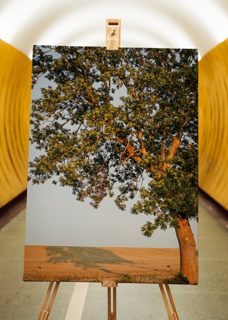 Sommeraften på Öland