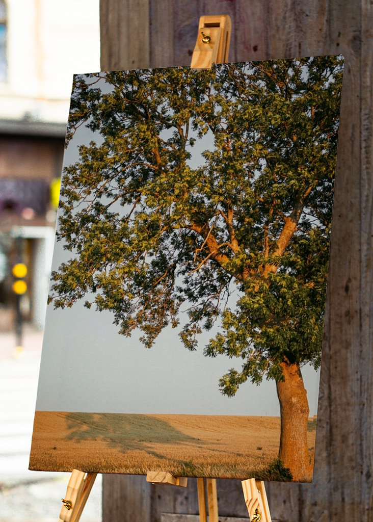 Sommeraften på Öland