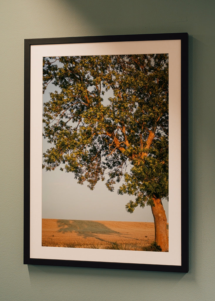Sommeraften på Öland