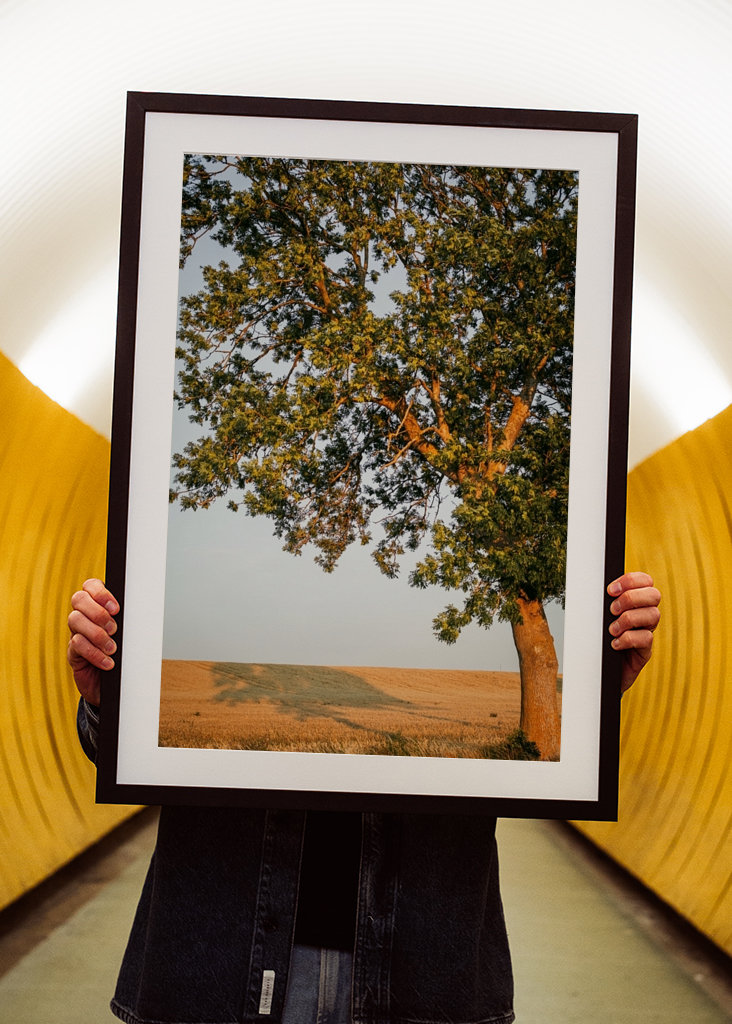 Sommeraften på Öland