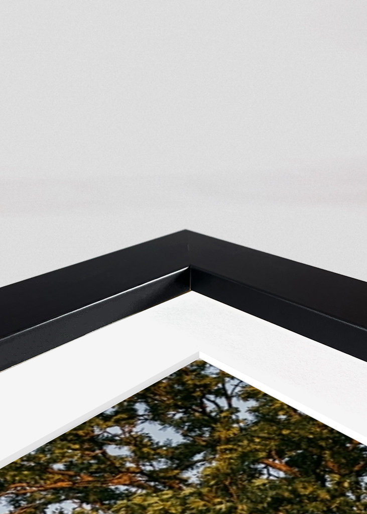 Sommeraften på Öland