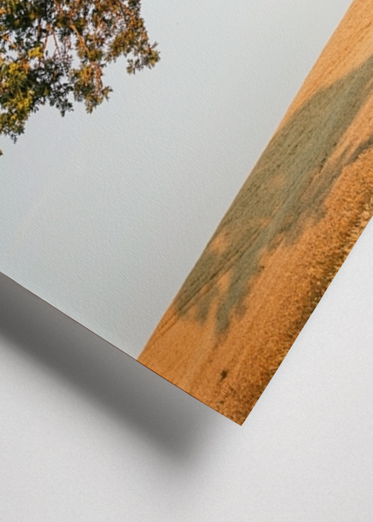 Sommeraften på Öland