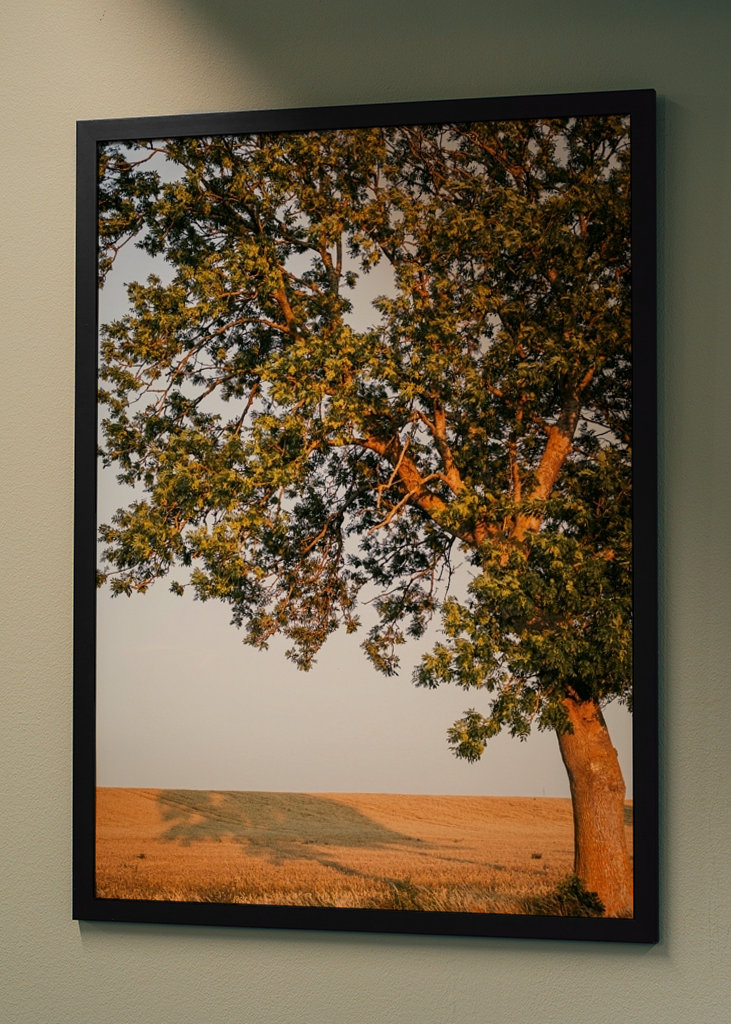 Sommeraften på Öland