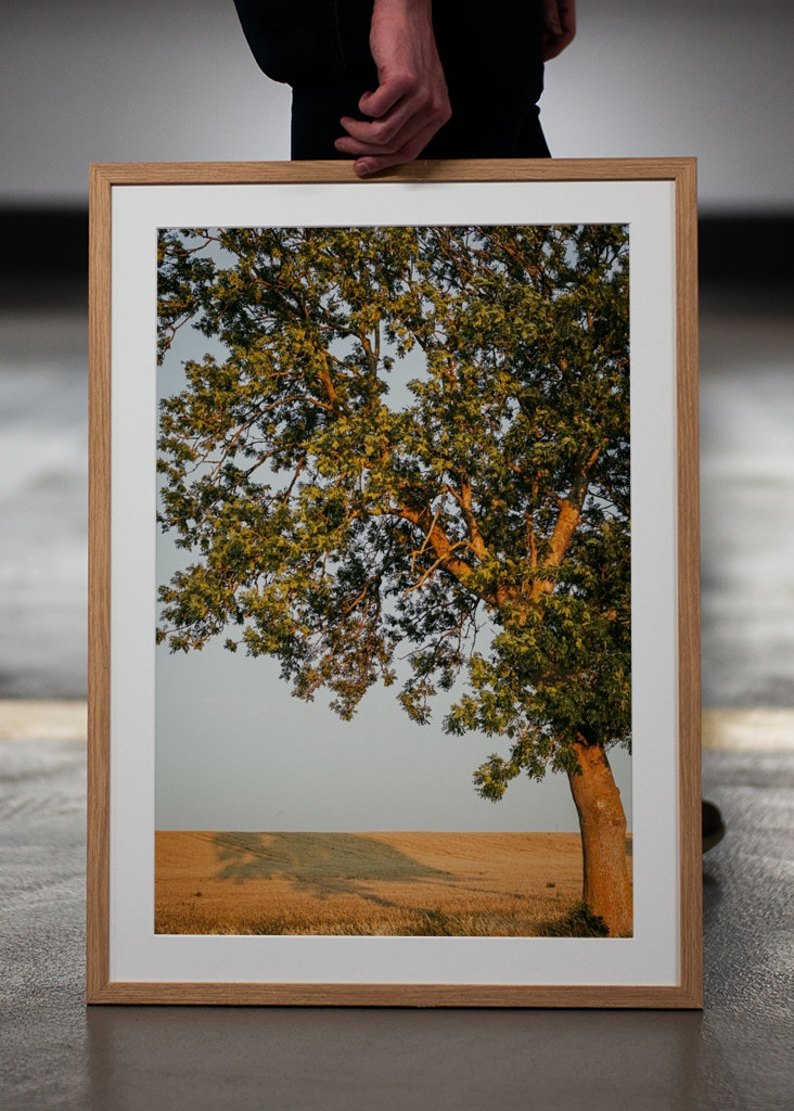 Sommeraften på Öland