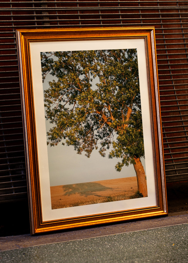 Sommeraften på Öland