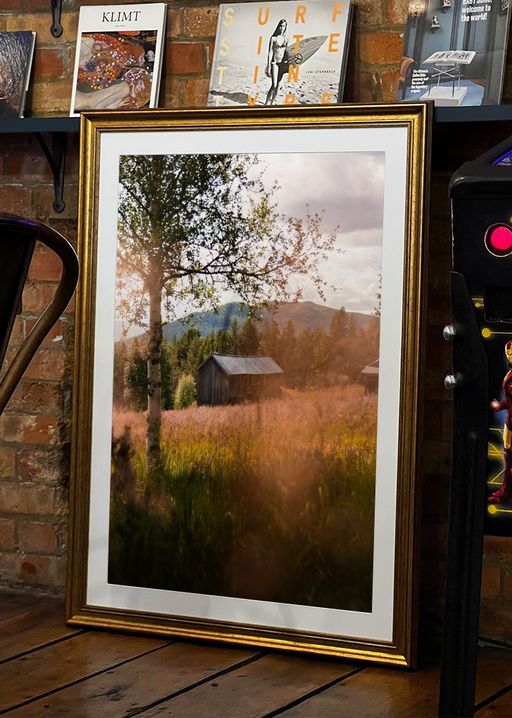 Old cottage in the forest