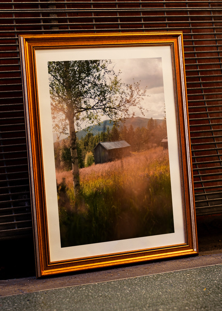 Old cottage in the forest