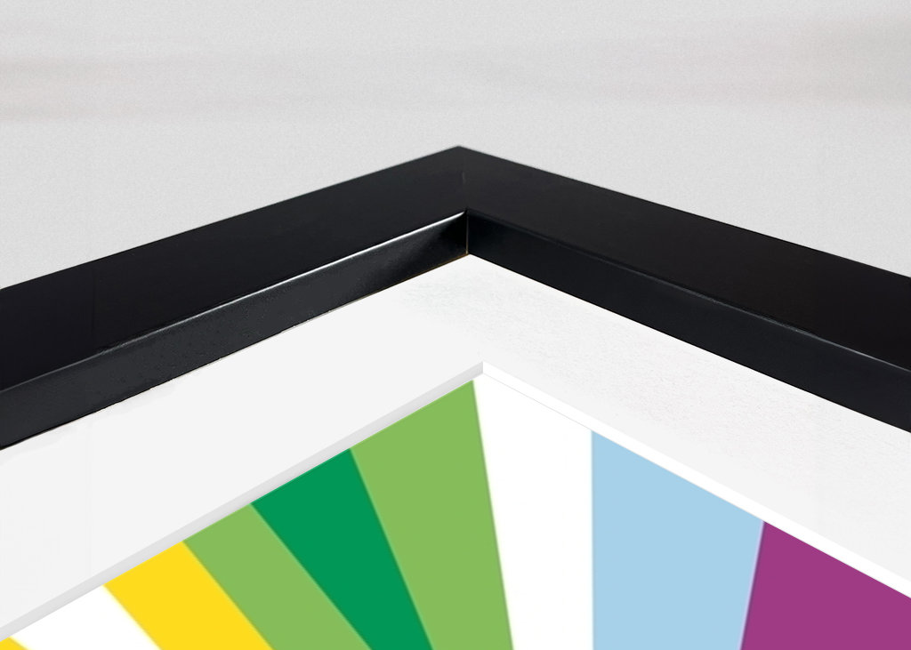 Prince Rogers Nelson Pop Art