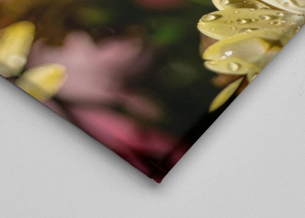 Květiny s kapičkami vody