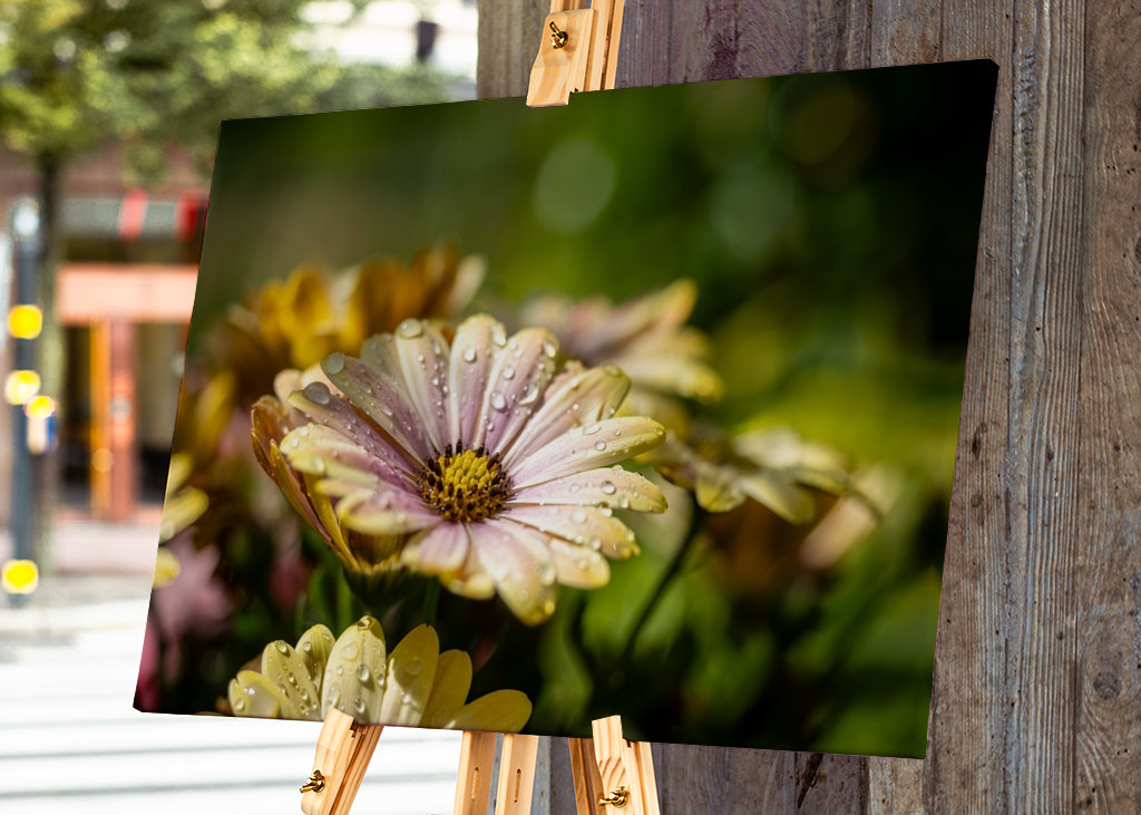 Květiny s kapičkami vody