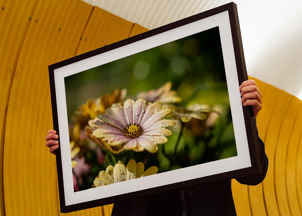 Květiny s kapičkami vody