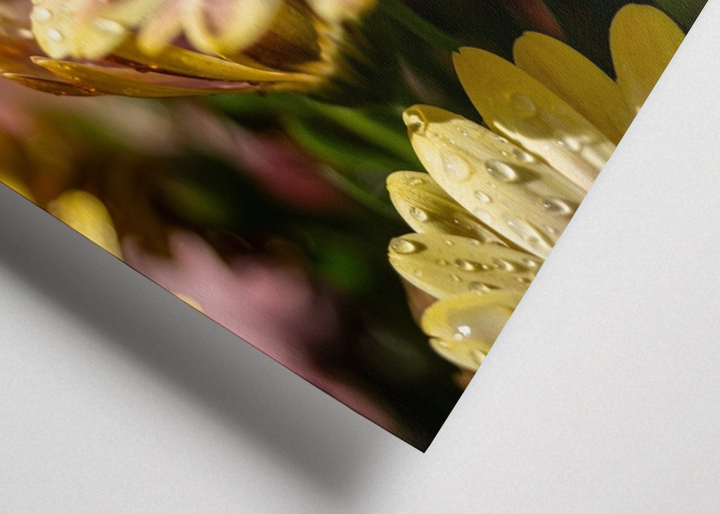 Květiny s kapičkami vody