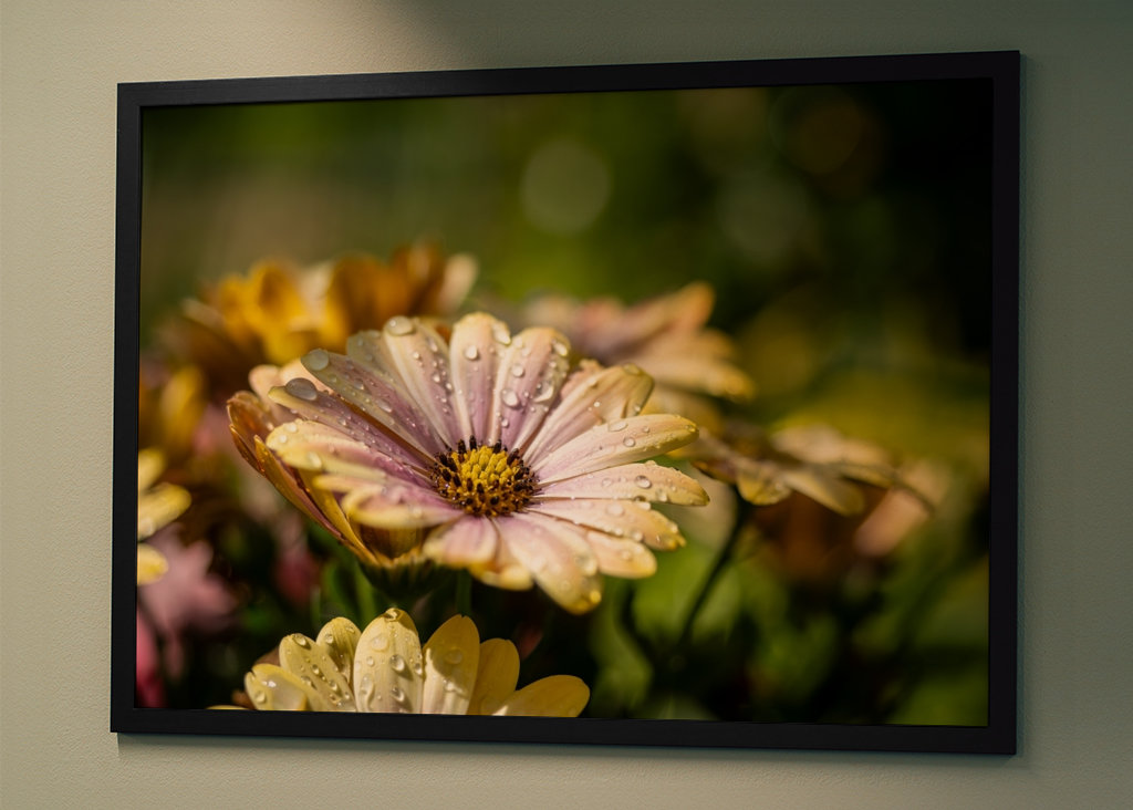 Květiny s kapičkami vody