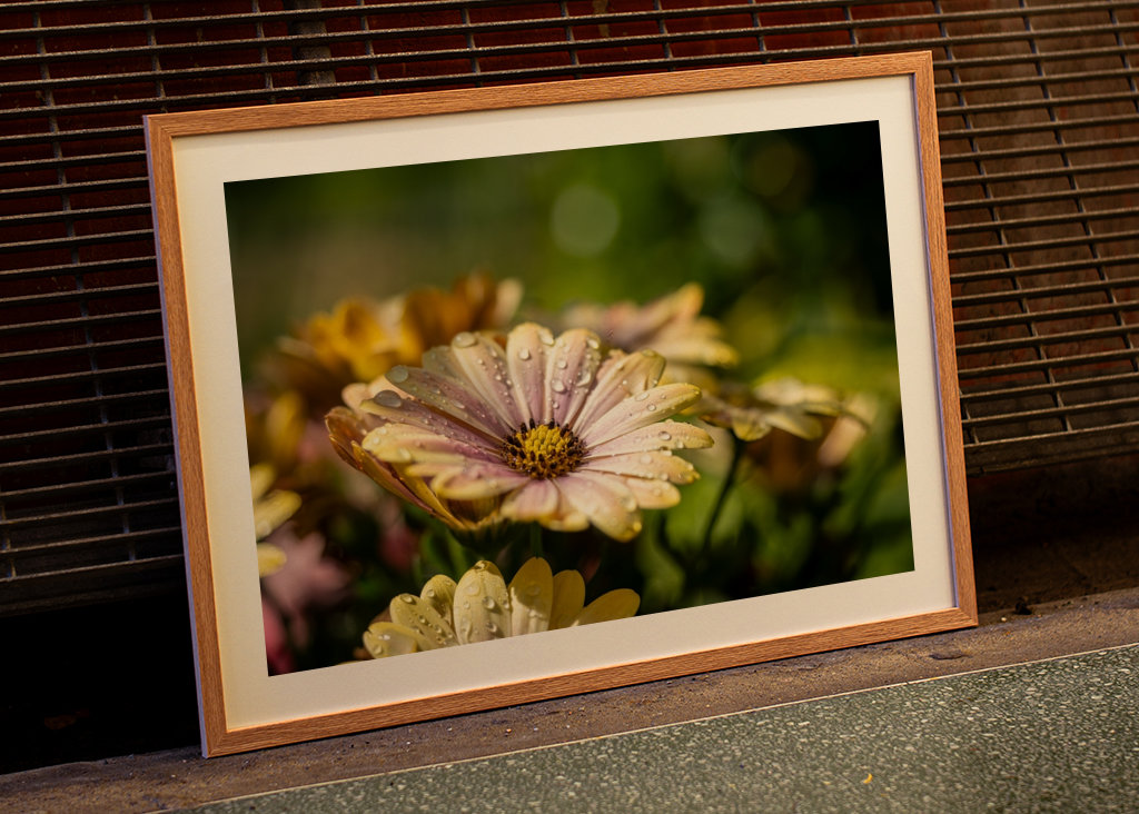 Květiny s kapičkami vody