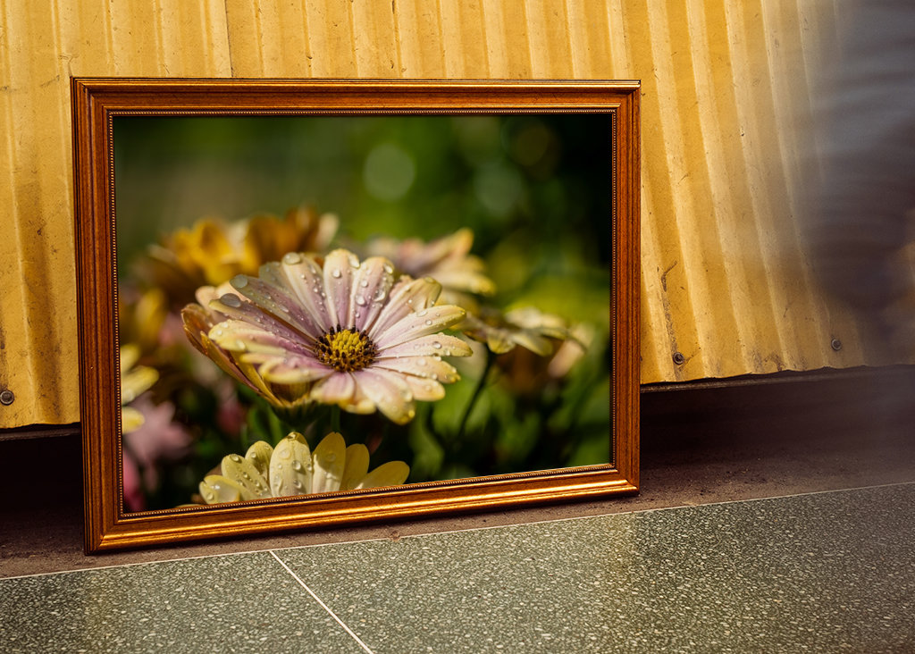 Květiny s kapičkami vody