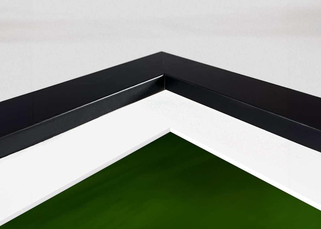 A red clover flower in grass