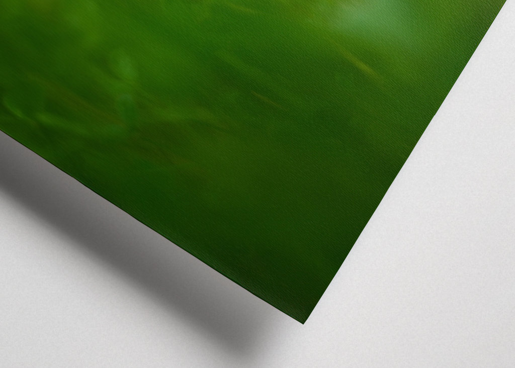 A red clover flower in grass