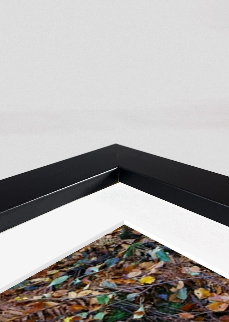 Les feuilles d’automne couvrent l’eau