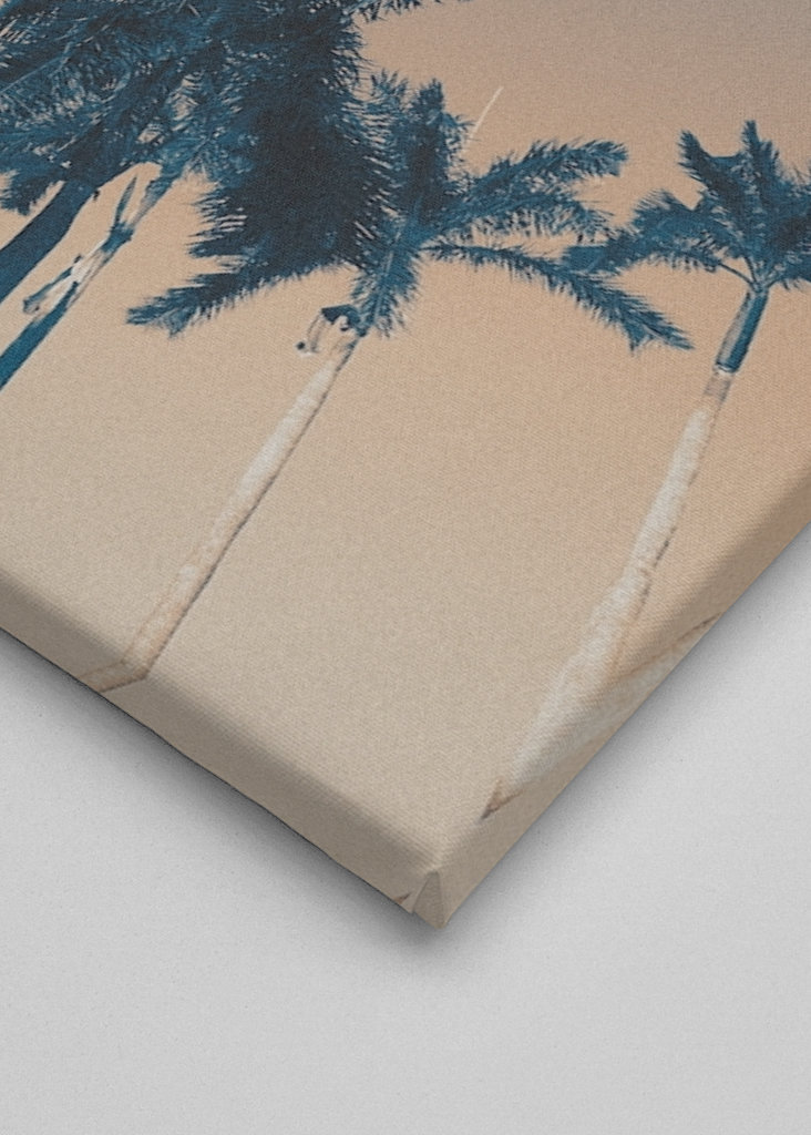 West Palm Beach bitches!