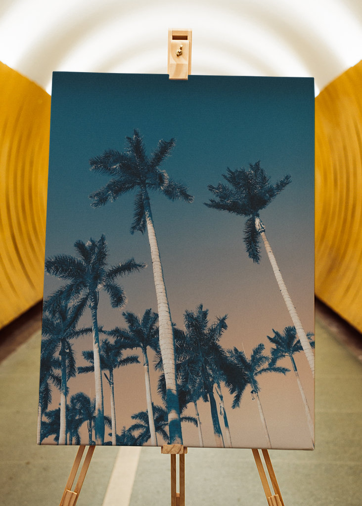 West Palm Beach bitches!