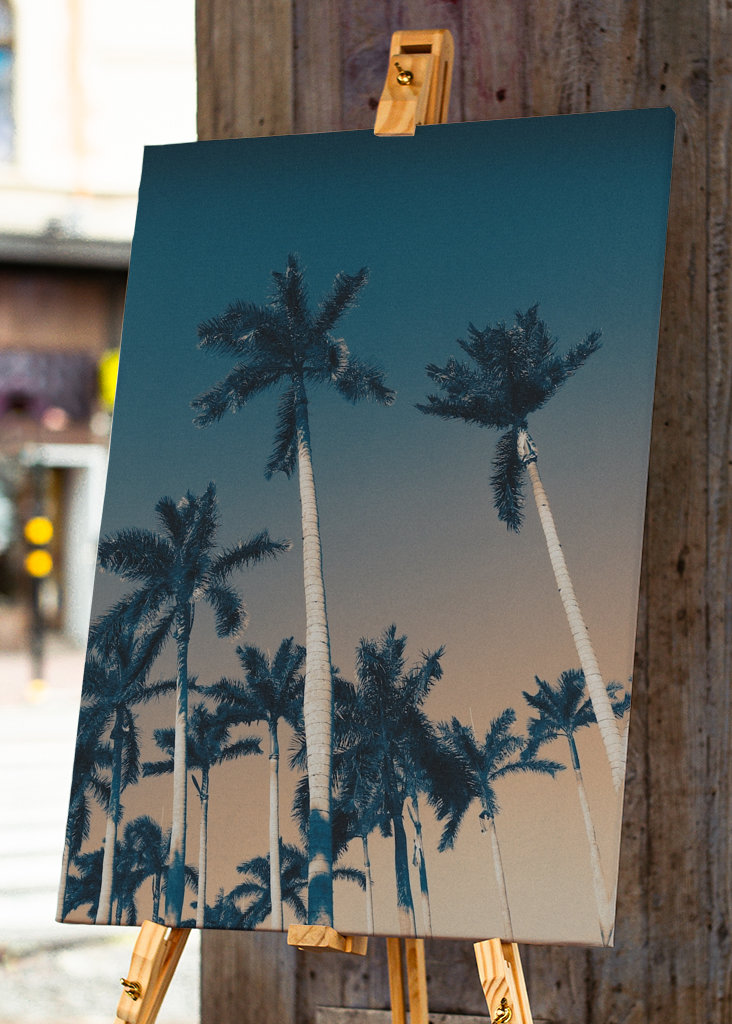 West Palm Beach bitches!