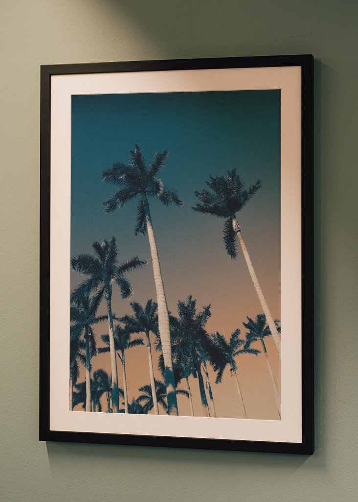 West Palm Beach bitches!