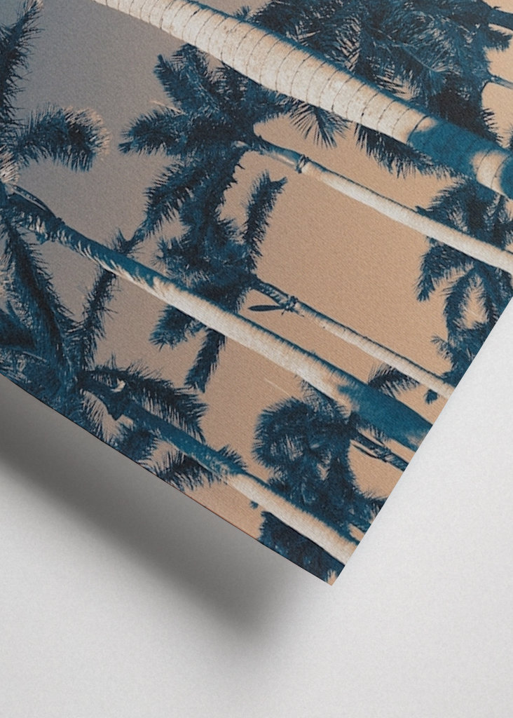 West Palm Beach bitches!