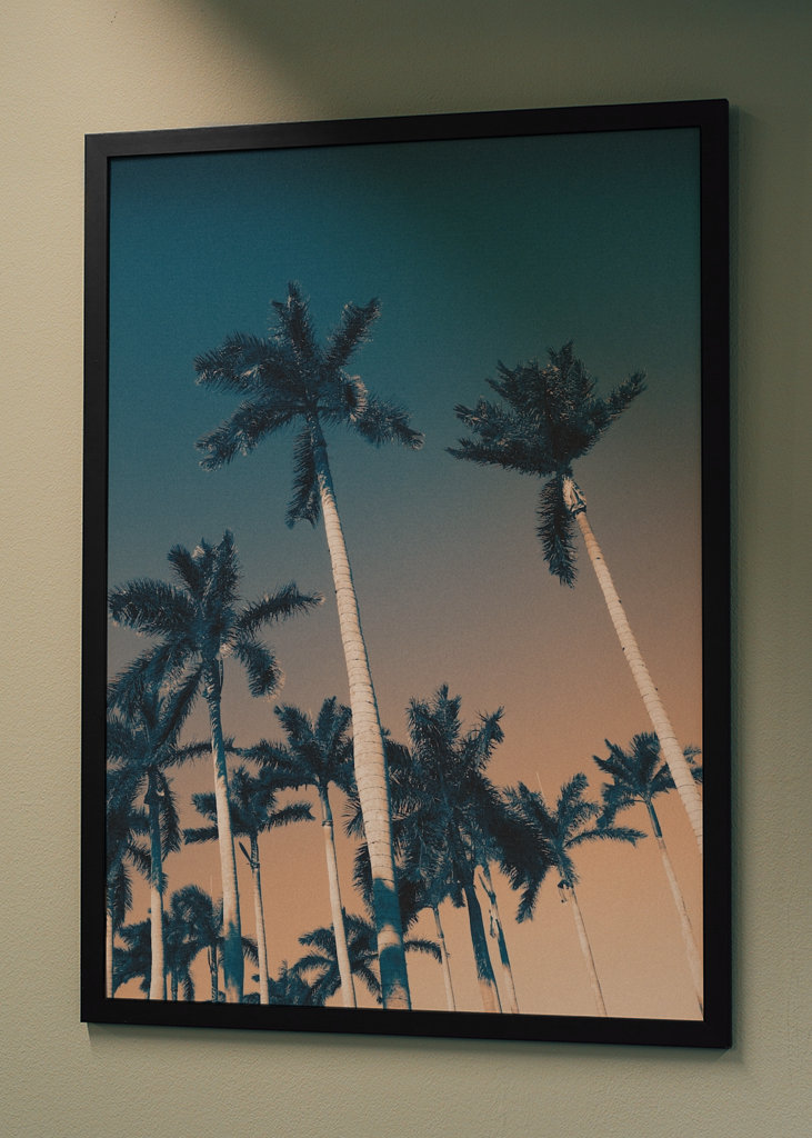 West Palm Beach bitches!