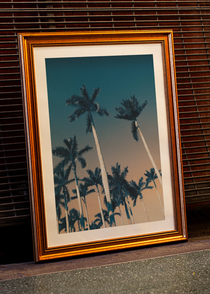 West Palm Beach bitches!