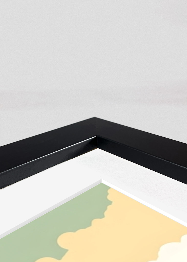 Classic Porsche 911 Toscana