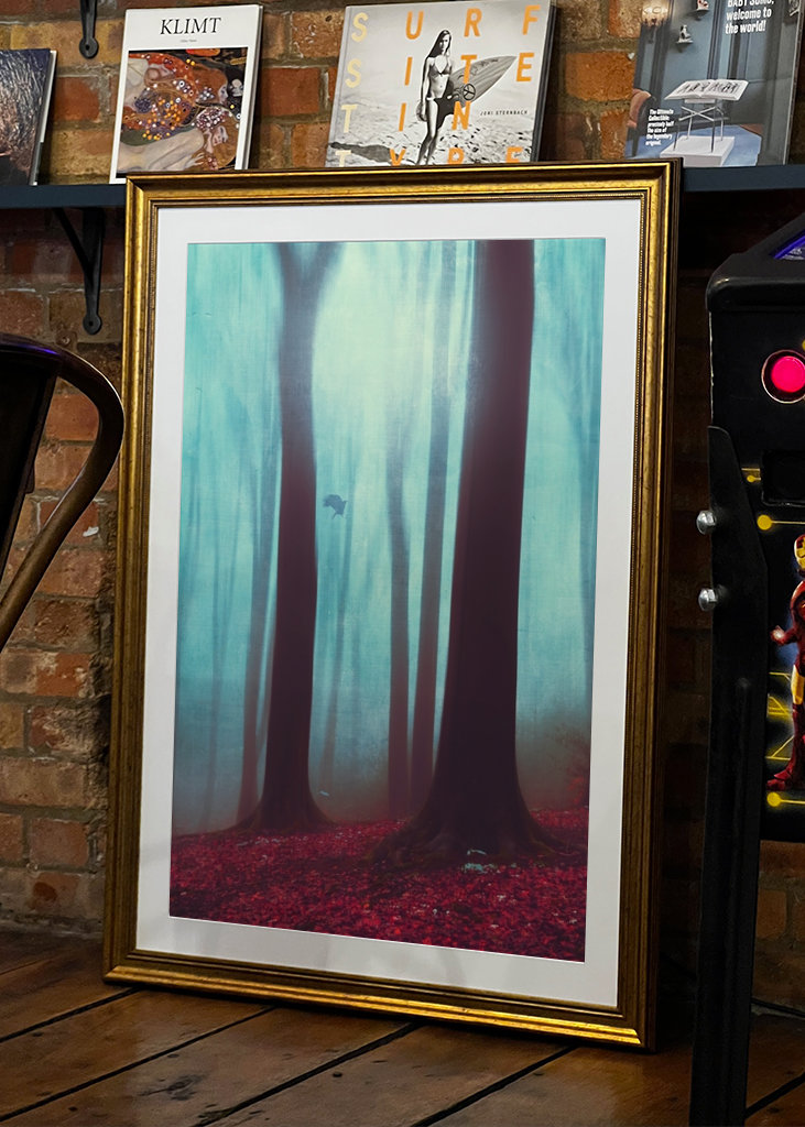 Winterwald Ohne Schnee