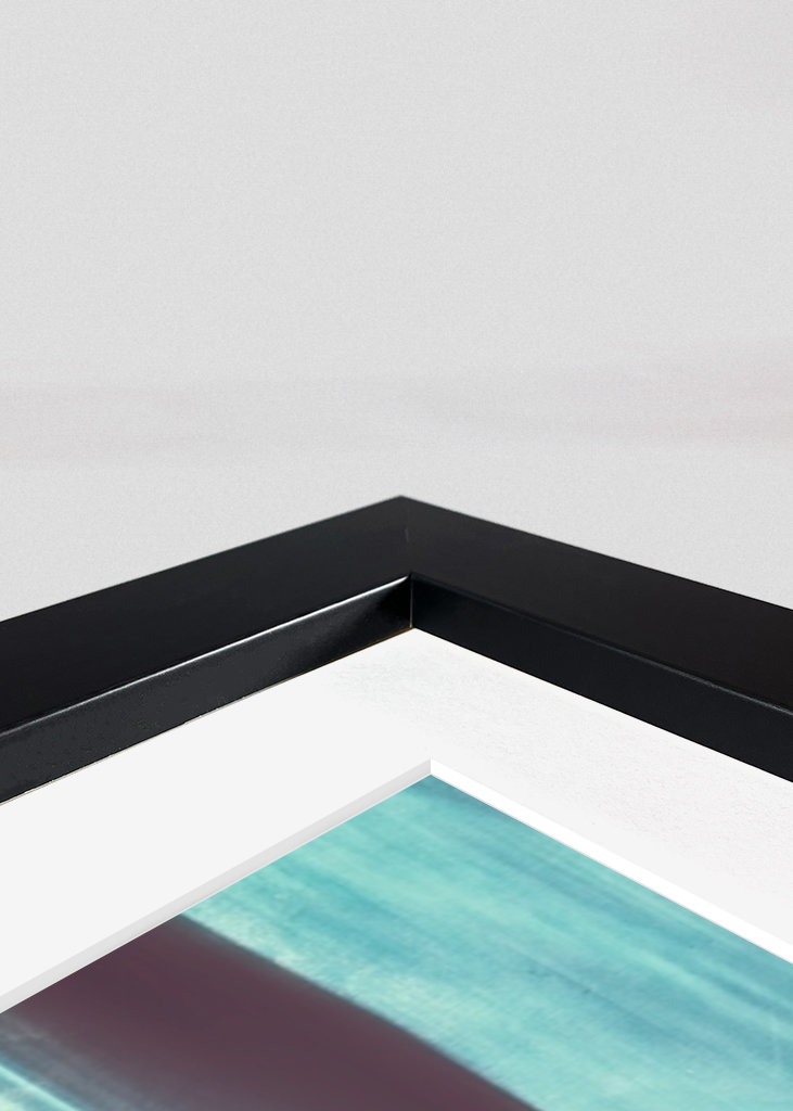 Winterwald Ohne Schnee